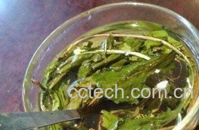  婆婆丁水的功效与作用 -1