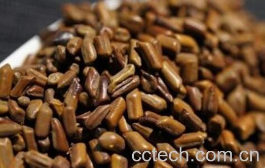 决明子的作用与功效 决明子的食用方法-0