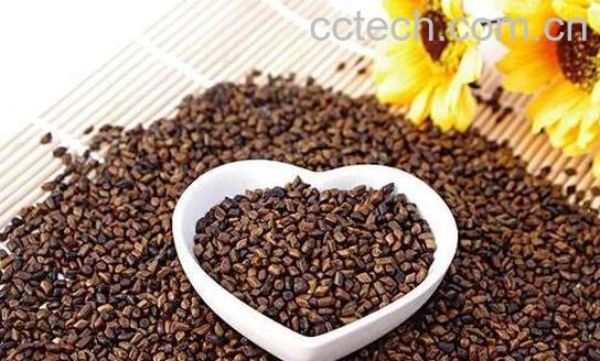 决明子的作用与功效 决明子的食用方法-1