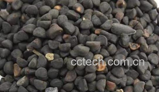 姜良籽的功效与作用-0