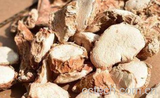 沙姜和山奈的区别 沙姜的功效与作用-1