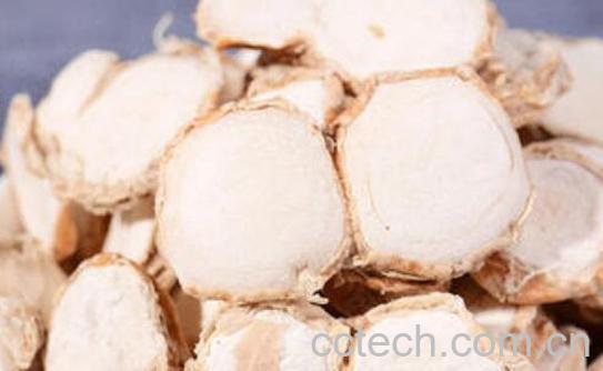 沙姜和山奈的区别 沙姜的功效与作用-0