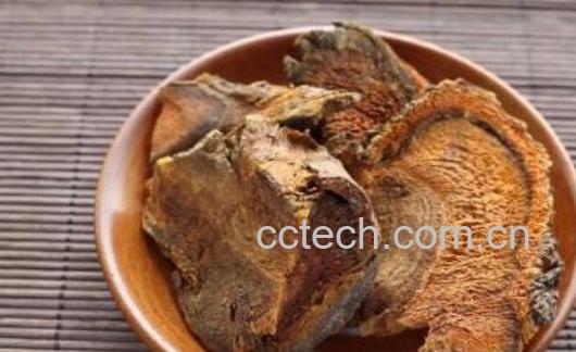 大黄的功效与作用 大黄的副作用-0