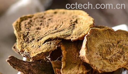 生大黄泡酒的功效与作用-1