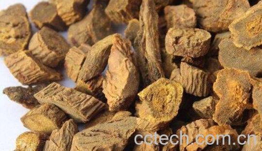 大黄的功效与作用 大黄的副作用-1