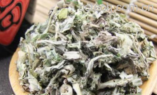 艾水泡脚有什么好处-0