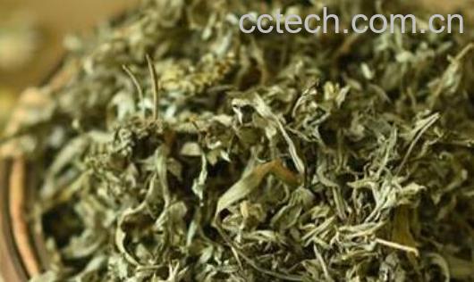 艾草泡脚的功效与作用及禁忌-0