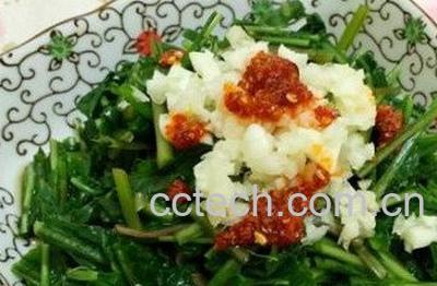  丹东蒲公英的功效与作用 丹东蒲公英怎么吃-1