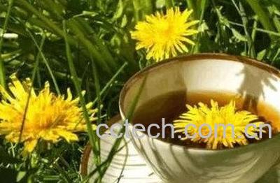 婆婆丁花晒干泡水的功效-0