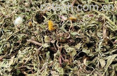 婆婆丁花晒干泡水的功效-1