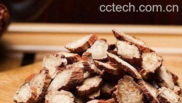 丹参的功效与作用及副作用-0