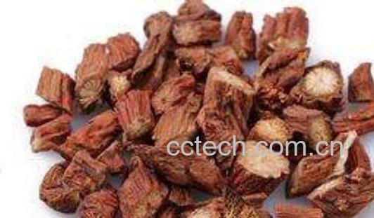 丹参的功效与作用及副作用-1