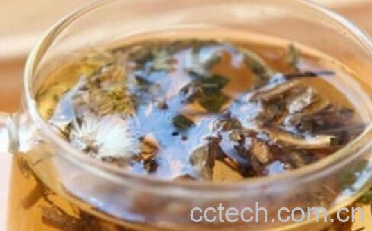 蒲公英泡水喝的功效作用-0