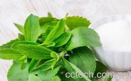 甜菊糖苷的功效与作用-0