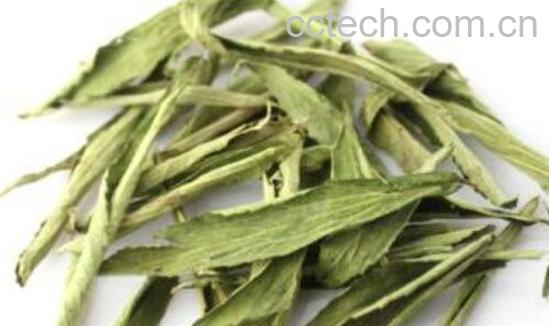 甜叶菊酣的功效与作用及禁忌-0