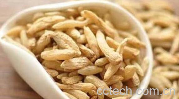 麦冬泡水喝的五大禁忌 麦冬泡水喝的好处-0