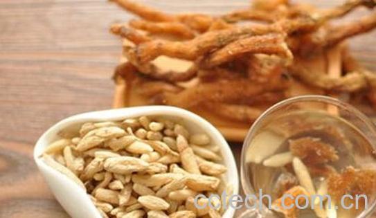 麦冬泡水喝的五大禁忌 麦冬泡水喝的好处-1