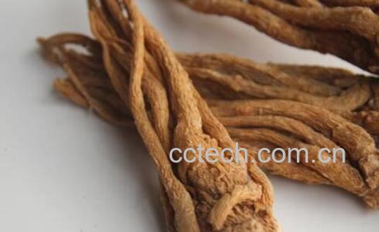 川芎根的功效与作用及禁忌-0