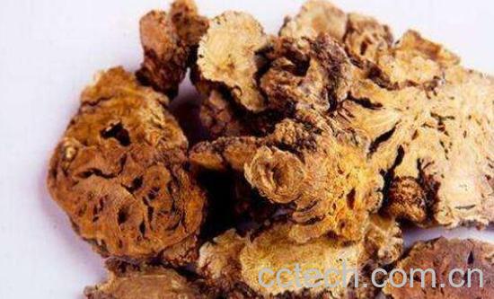 川芎根的功效与作用及禁忌-1