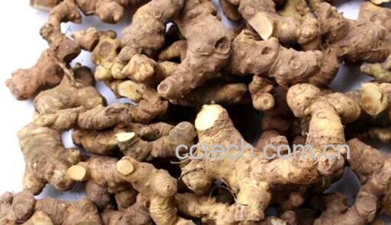 生黄精的功效与作用及副作用-1