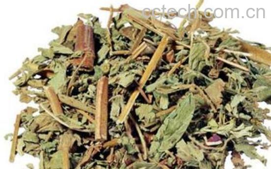 仙鹤草的功效与作用及禁忌-1