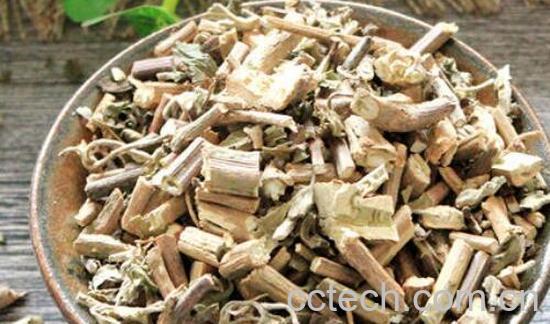 藿香的功效与作用及禁忌-0