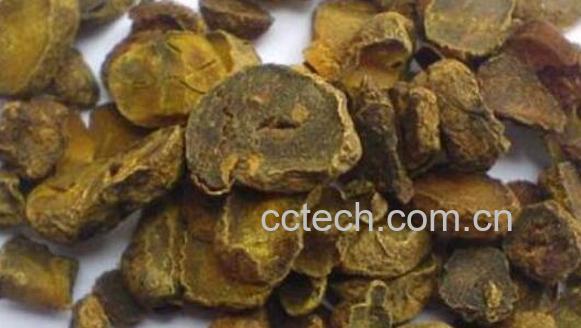 延胡索的功效与作用 延胡索的禁忌-0