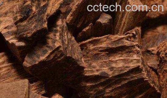 沉香的功效与作用及禁忌-1