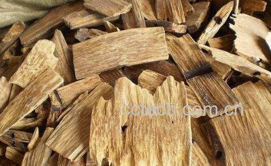 沉香的功效与作用及禁忌-0