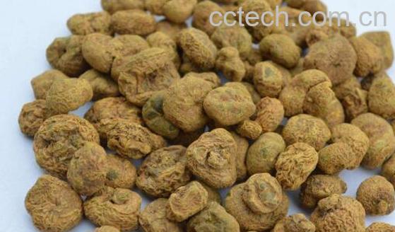 延胡索的功效与作用 延胡索的禁忌-1