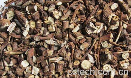 柴胡草药怎么吃 柴胡草药的功效与作用-0