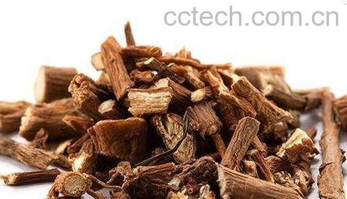 柴胡草药怎么吃 柴胡草药的功效与作用-1