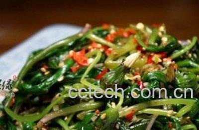 蒲公英怎么吃 新鲜蒲公英的吃法大全-1