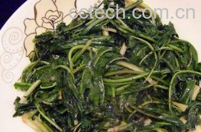 蒲公英怎么吃 新鲜蒲公英的吃法大全-0