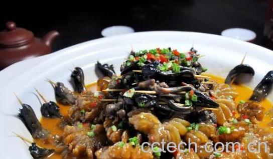 龟鞭的功效与作用-1