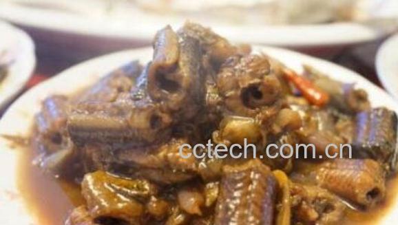 龟鞭的功效与作用-0