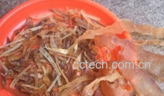 赤米龟鞭的功效与作用-0