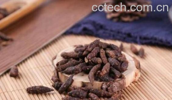 香附子和三棱草的区别 香附子的功效-0