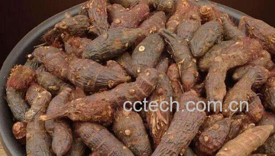 香附子的功效与作用及禁忌-1