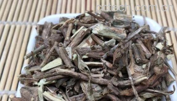 白马骨泡水喝的作用与功效-0