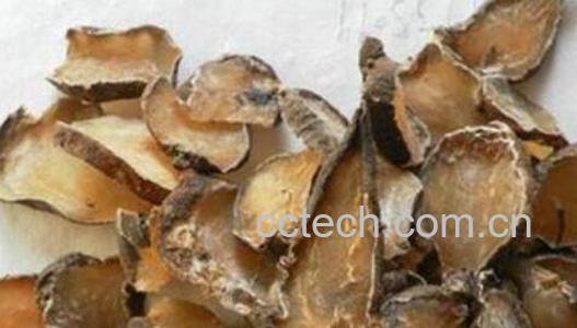 淡附片的功效与作用-0