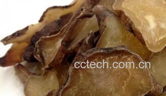 熟附子的功效与作用-0