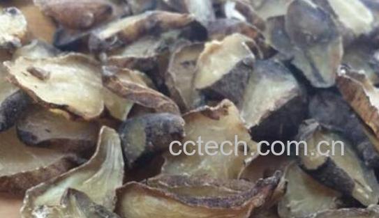 附子片的功效与作用-0