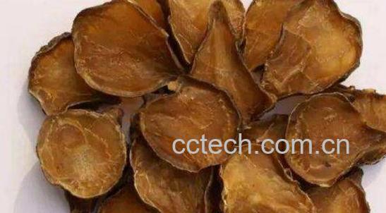 附子片的功效与作用-1