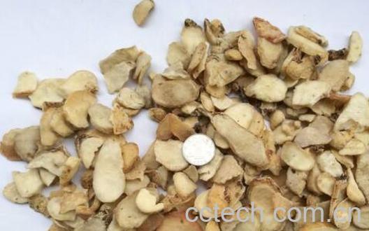 生附子的功效与作用-1