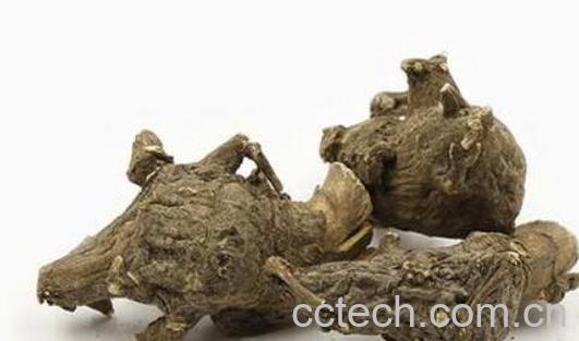 生附子的功效与作用-0