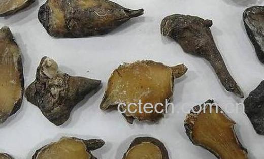 附子汤的功效与作用-1