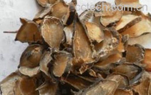 制附子的功效与作用-0