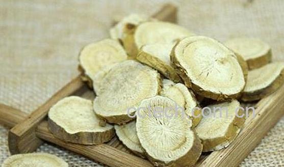 苦参泡水喝有什么功效 苦参泡水喝有什么好处-0