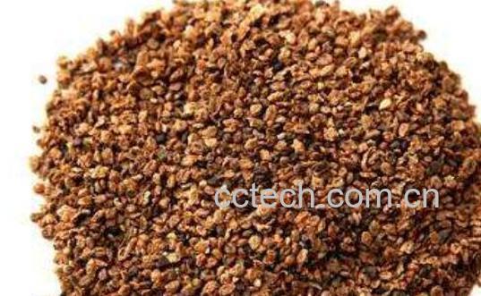 中药地肤子功效与作用及禁忌-1